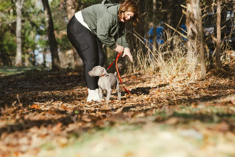 How to Leash Train Your Puppy in Canada | Orijen&trade;